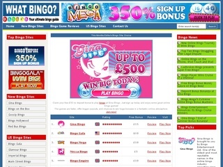 What Bingo ?